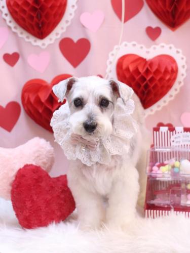 20240225ボルトくん